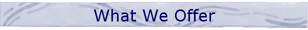 What We Offer
